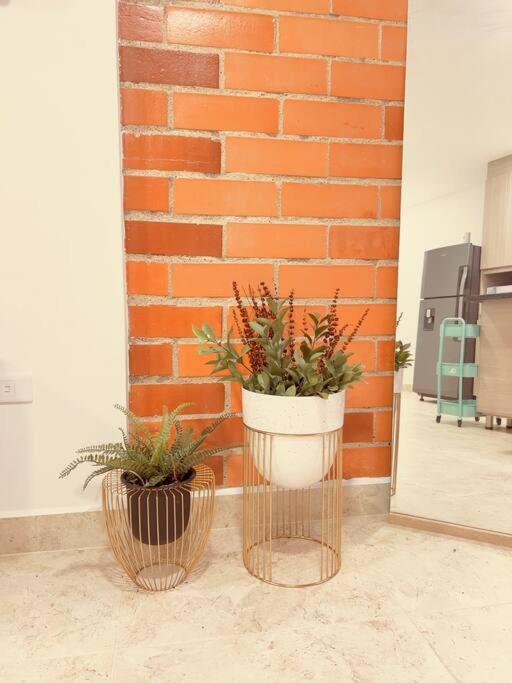 Apartment En Con Excelente Ubicacion *